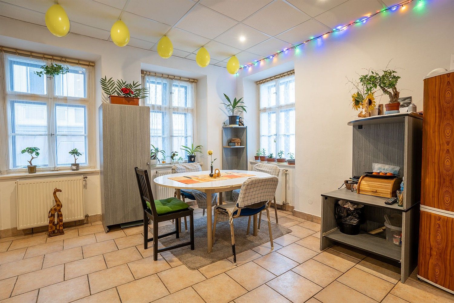 Rodinný dům · 255 m² · Dolní brána, Hostinné, okres Trutnov - 3