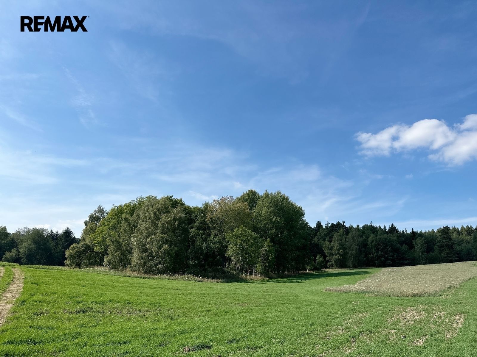 Lesy, Dlouhý Újezd, 12 651 m² - 1