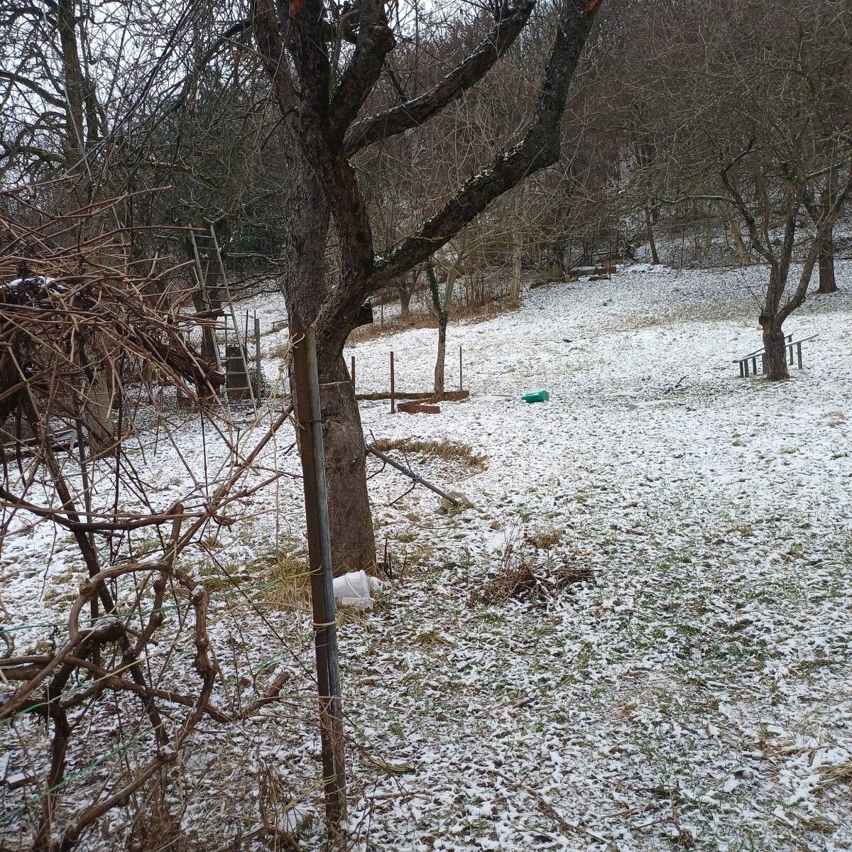 Pronájem zahrada - Brno, 642 00