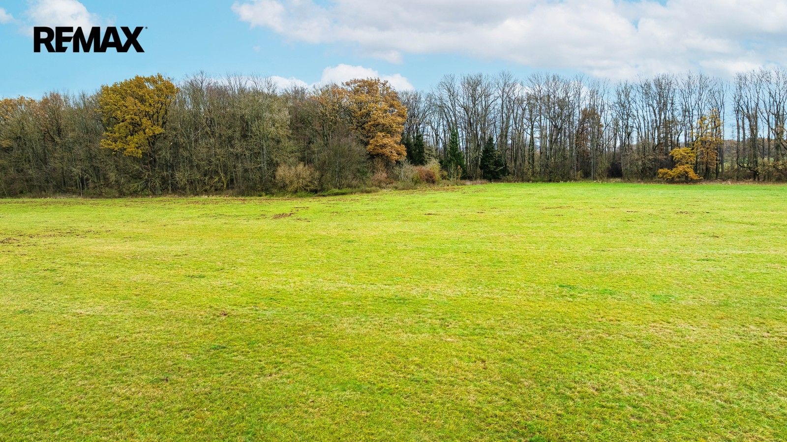 Prodej zemědělský pozemek - Jičín, 14 408 m² - 5