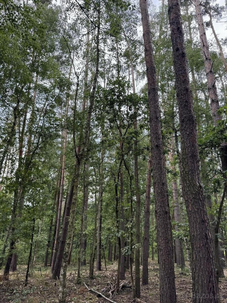 Pozemky pro bydlení, Přelouč, 535 01