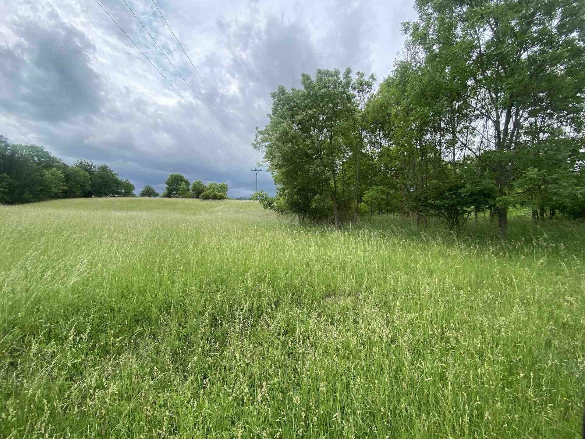Zemědělské pozemky, Třebívlice Skalice, 12 772 m² - 1