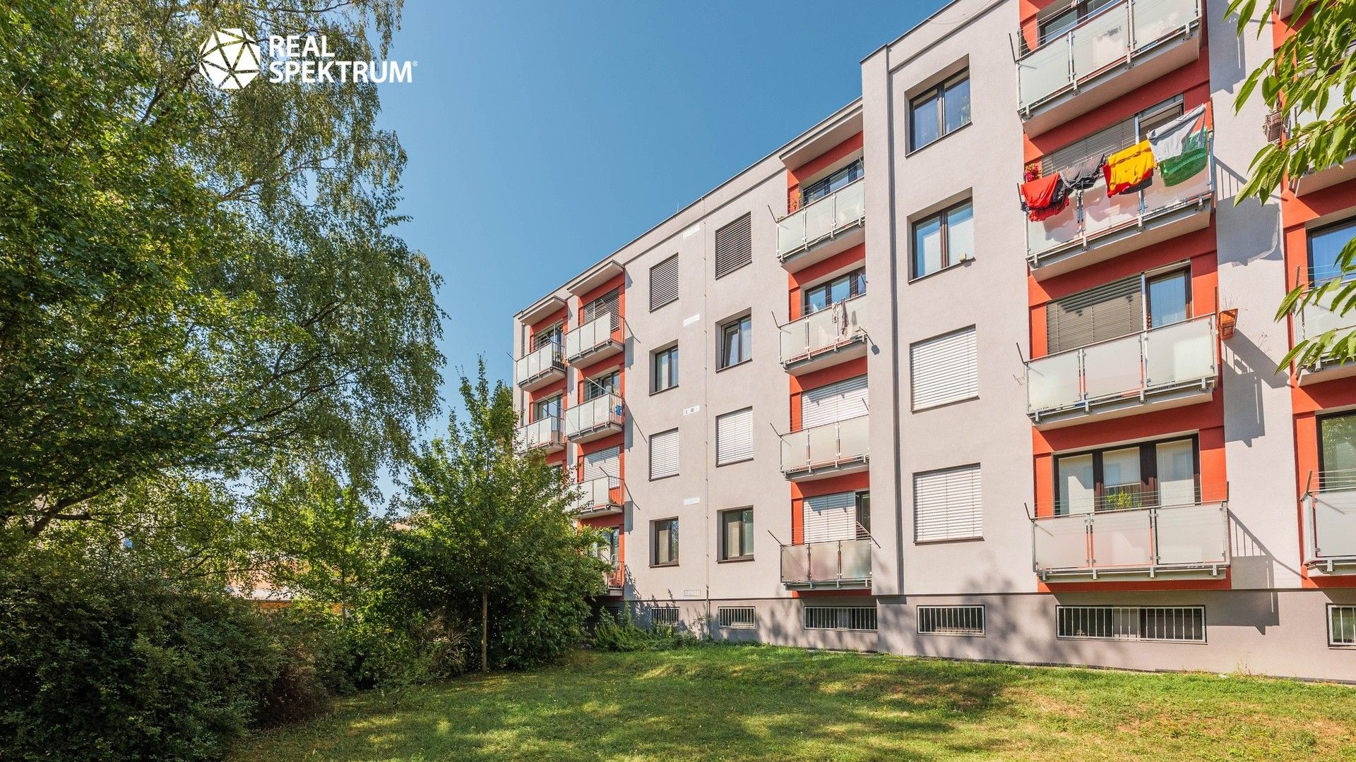 2+1, Družstevní, Brno, 52 m² - 1