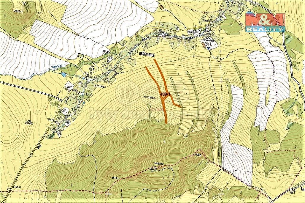 Les · Žandov, okres Česká Lípa, Liberecký kraj - 2