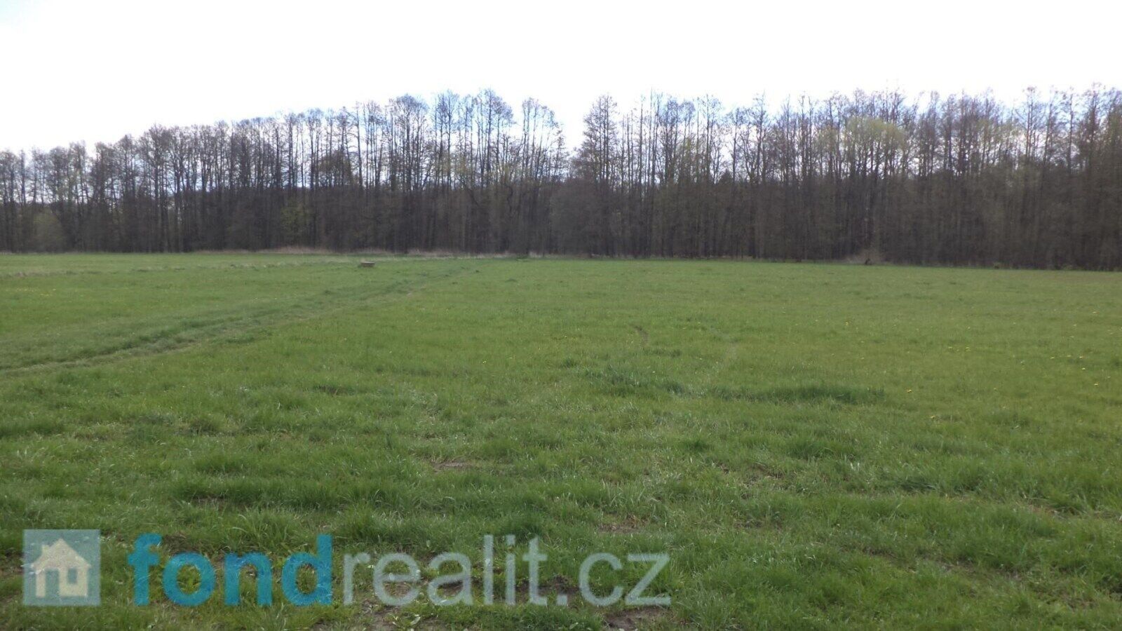 Zemědělské pozemky, Tachov, 69 m²