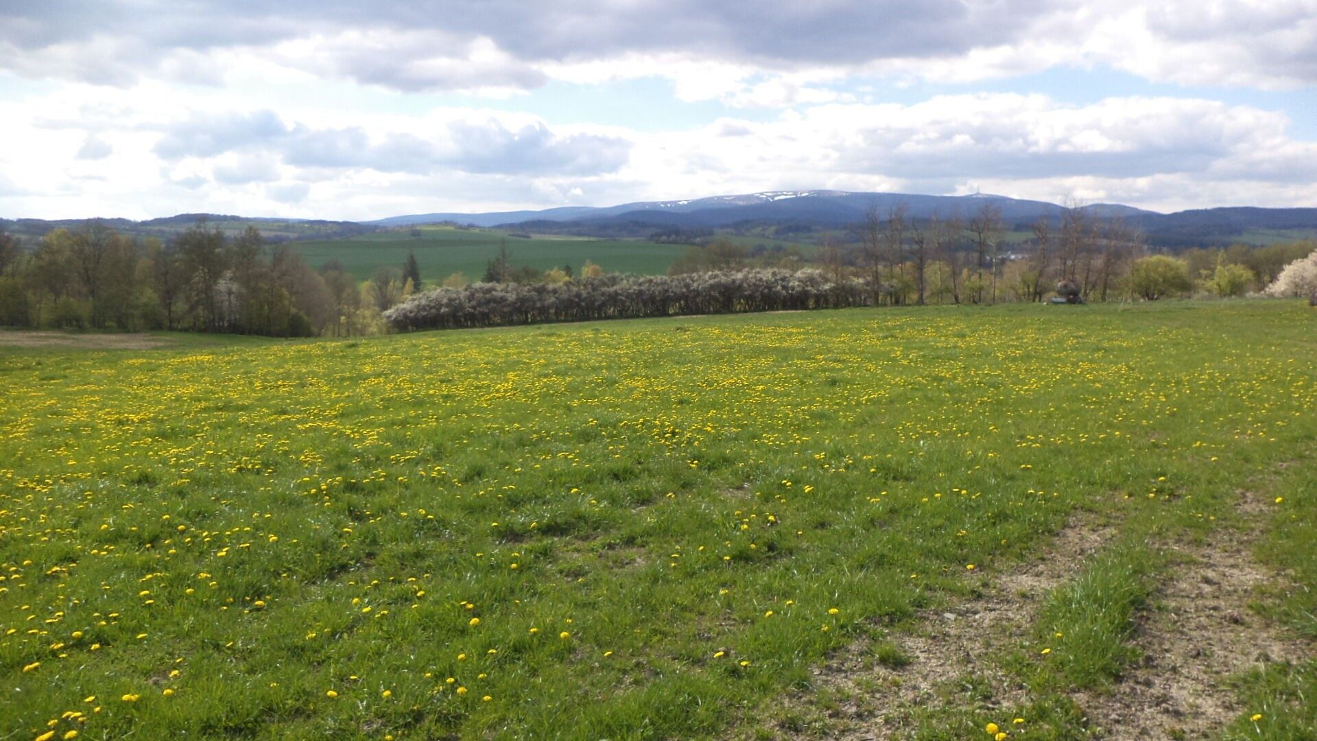 Pozemek, 10 063 m²