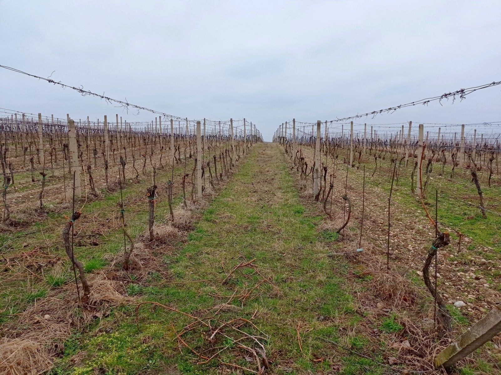 Ostatní, Brod nad Dyjí, 1 m²