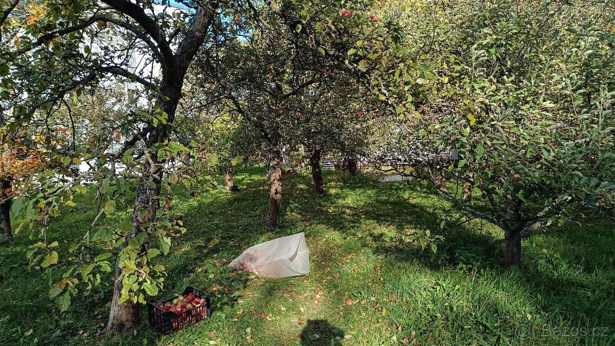 Pronájem zahrada - Kamenice, 251 68