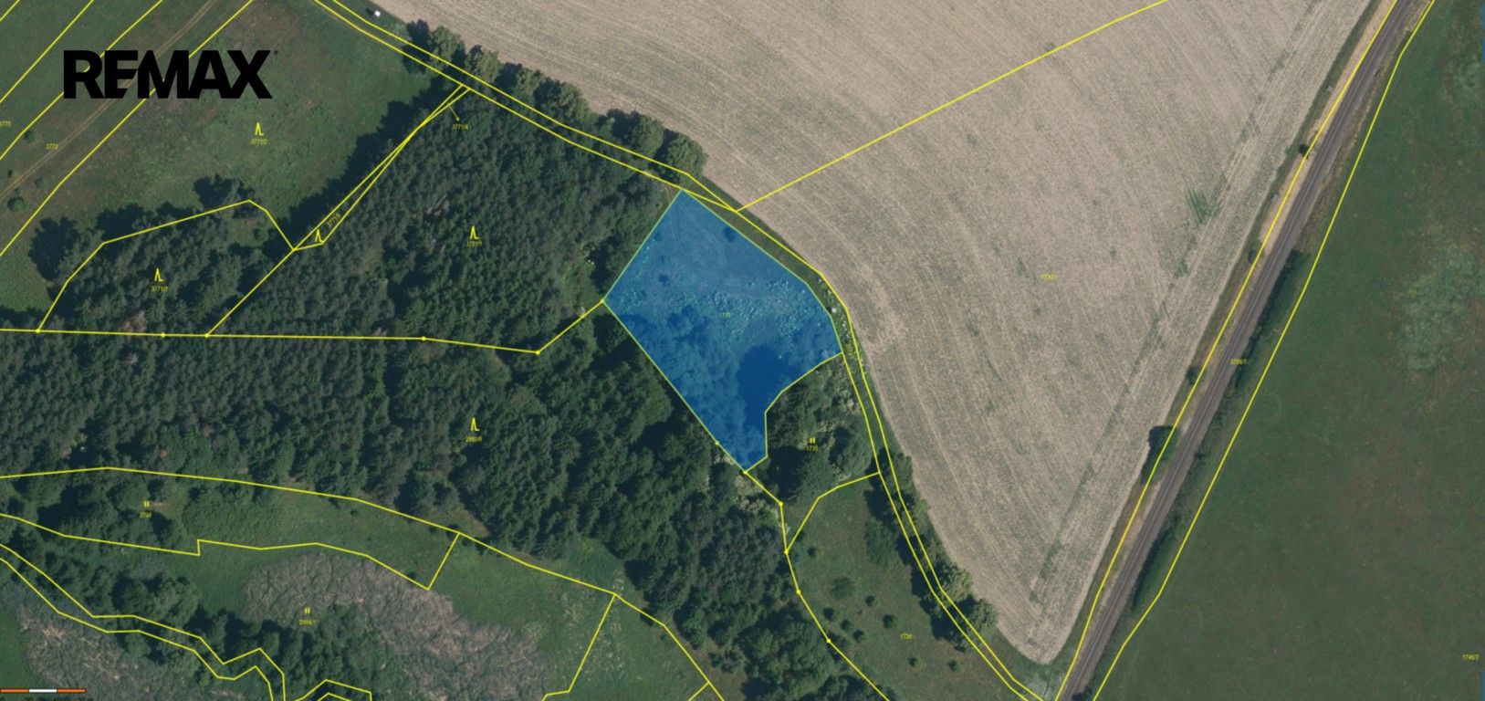 Prodej zemědělský pozemek - Planá, 22 007 m² - 5