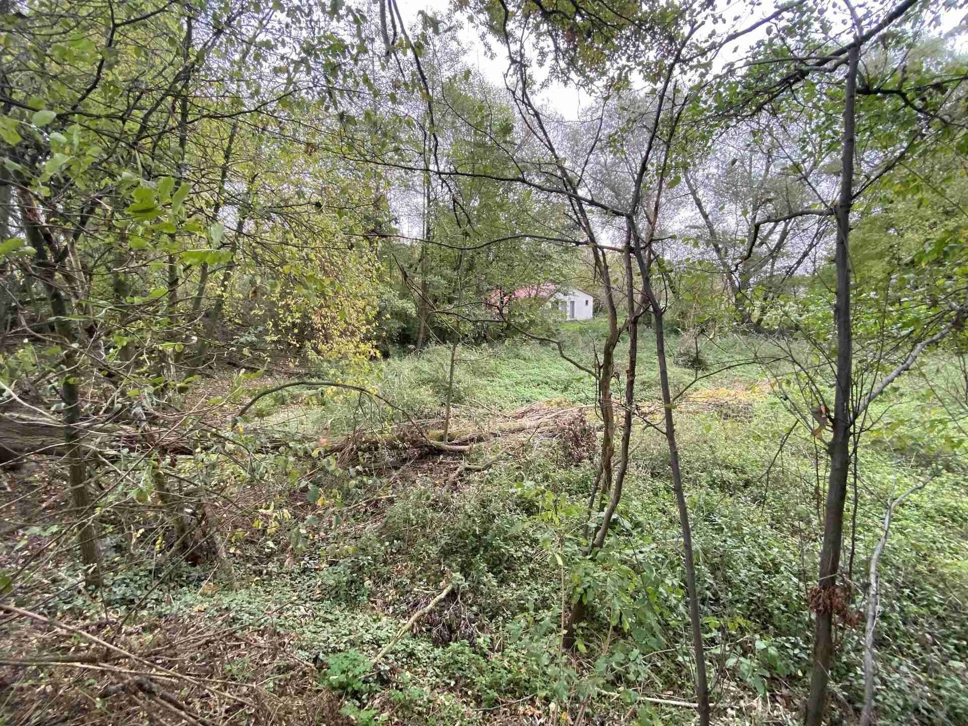 Pozemek · 1 049 m² · Čáslavice - 3
