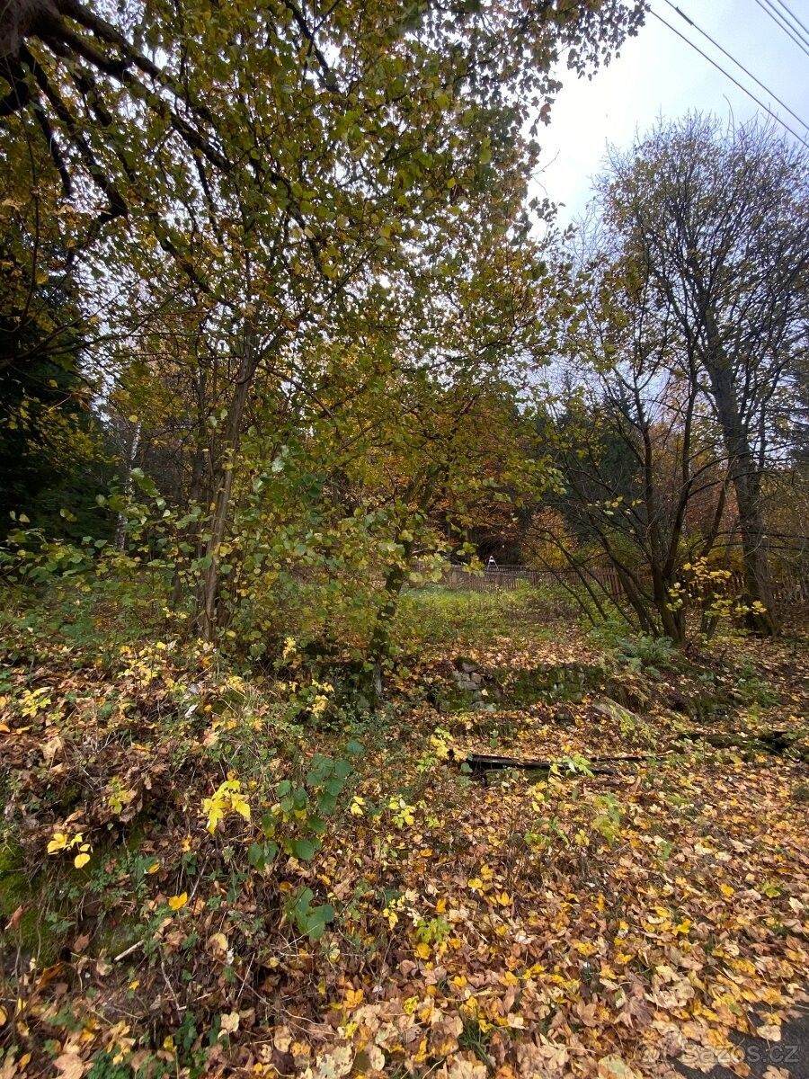 Prodej pozemek pro bydlení - Smržovka, 468 51