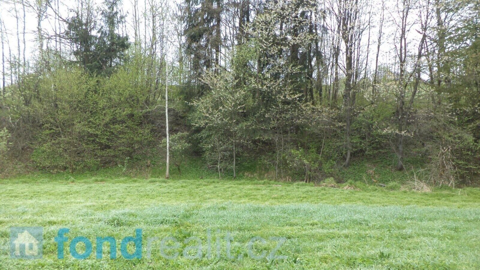 Pozemek · 8 296 m² · Mosty u Jablunkova - 3