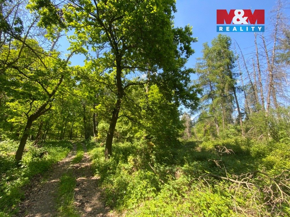 Stavební pozemek, Košátky – pohled 4