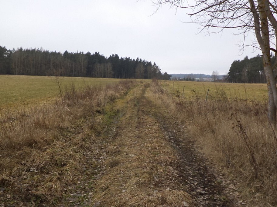 Pozemek · Lom u Tachova - 4