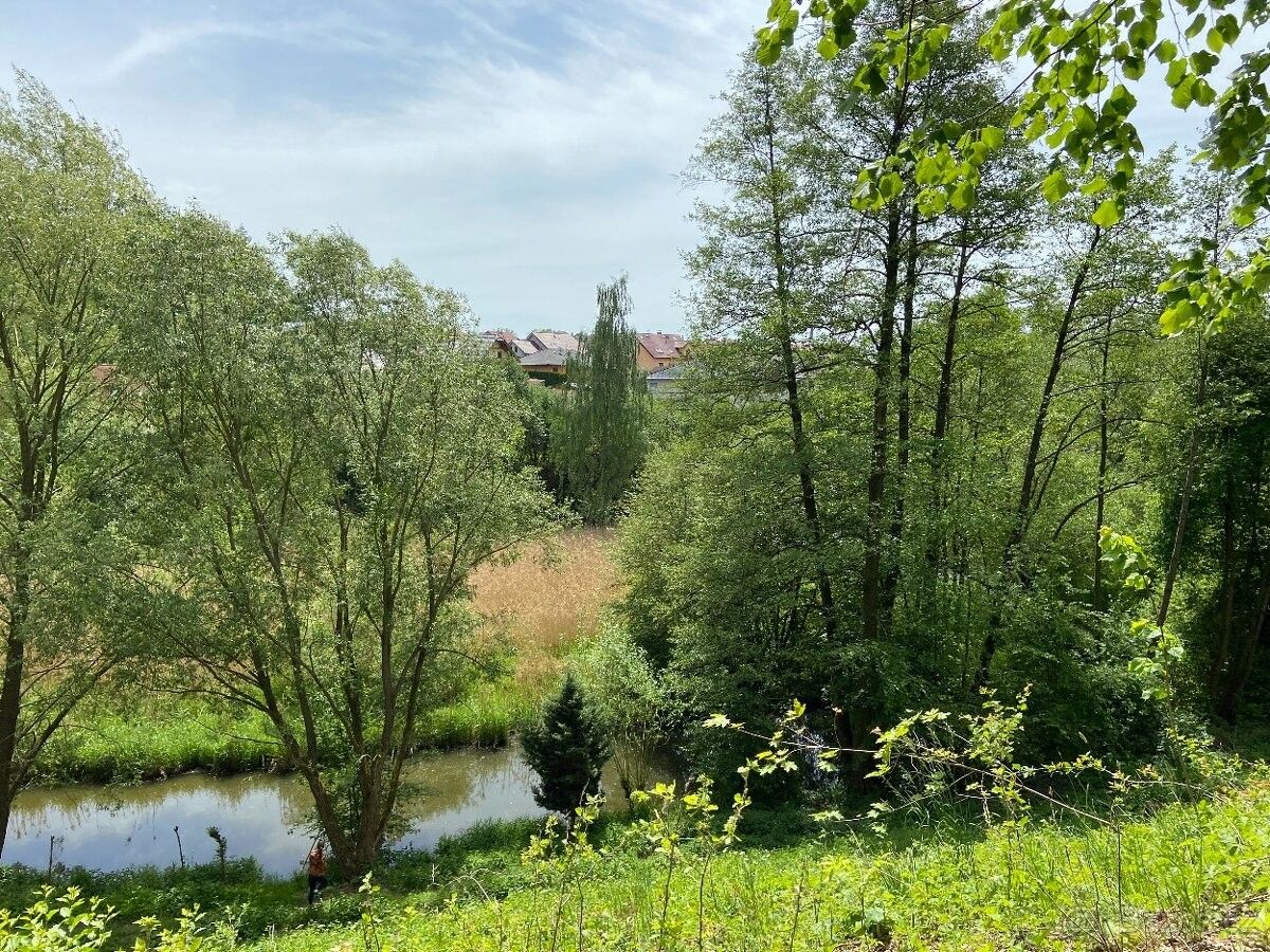 Pozemek pro bydlení · Pelhřimov, 393 01 - 4