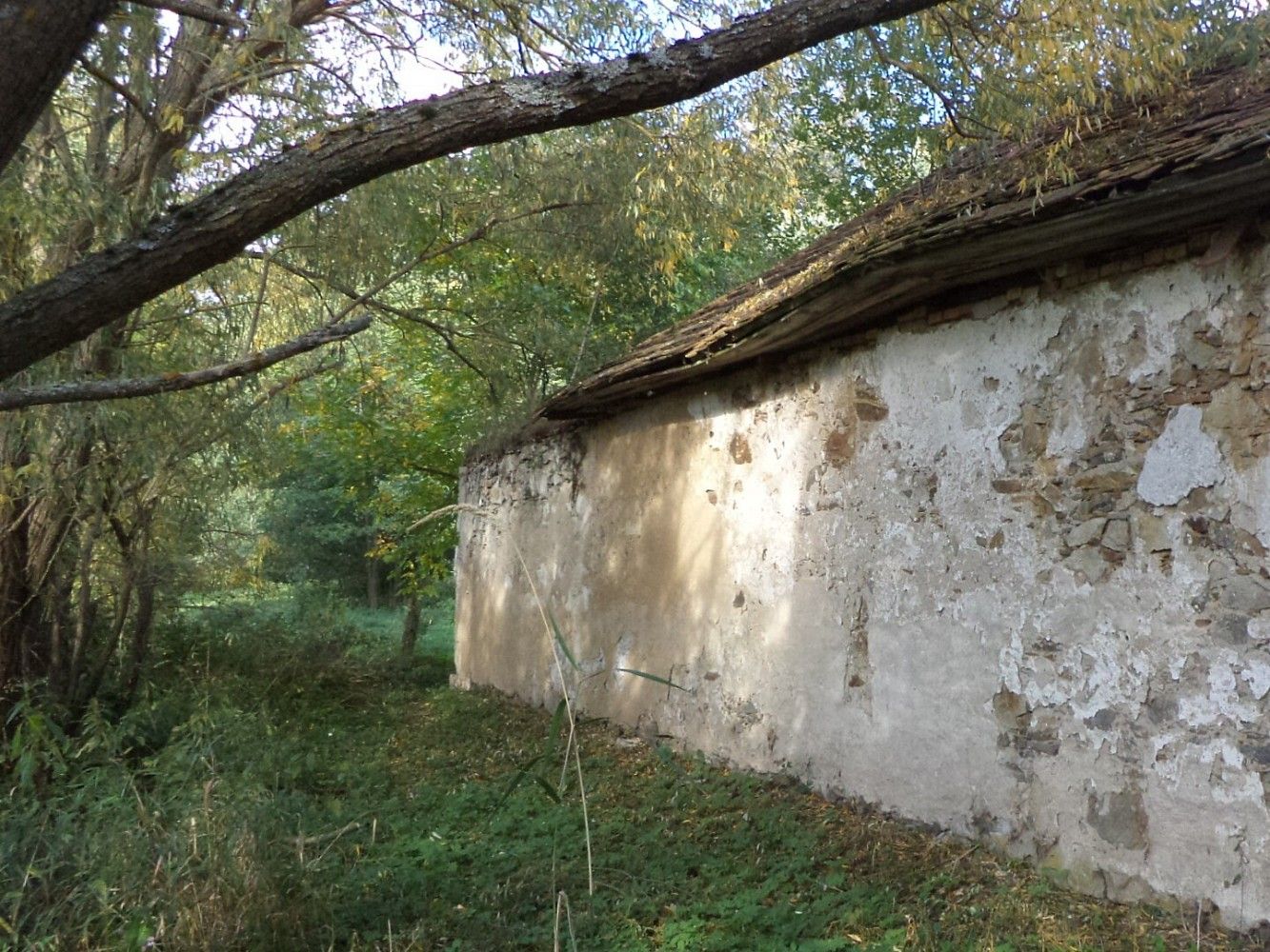 Louka · Žďár, okres Jindřichův Hradec, Jihočeský kraj - 3