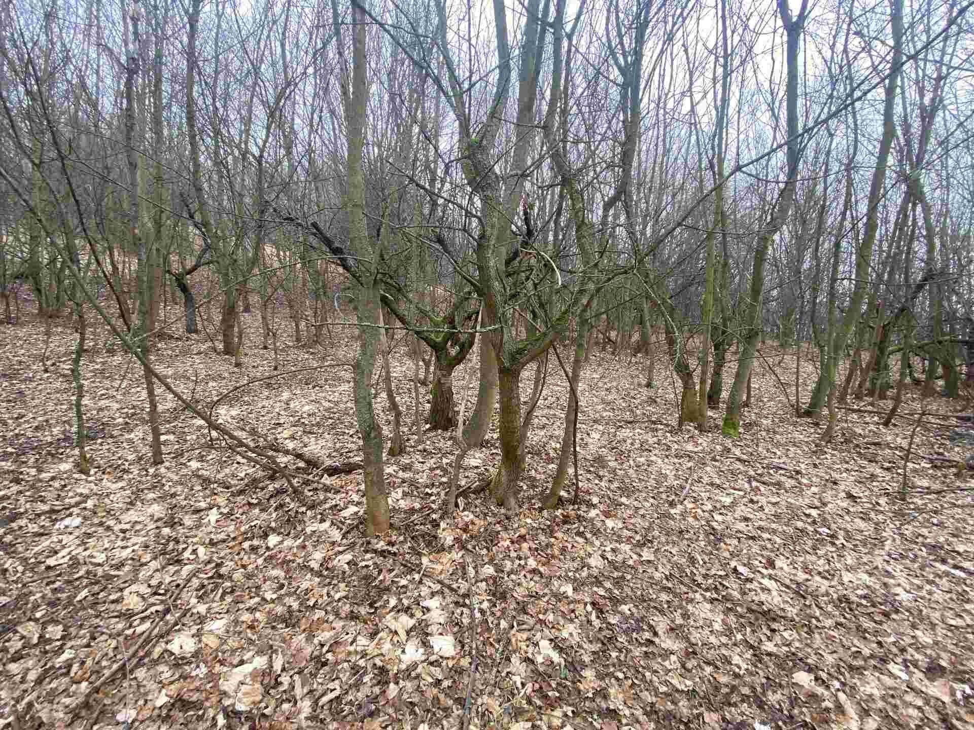 Ostatní, Medvědice, Třebenice, 4 m²