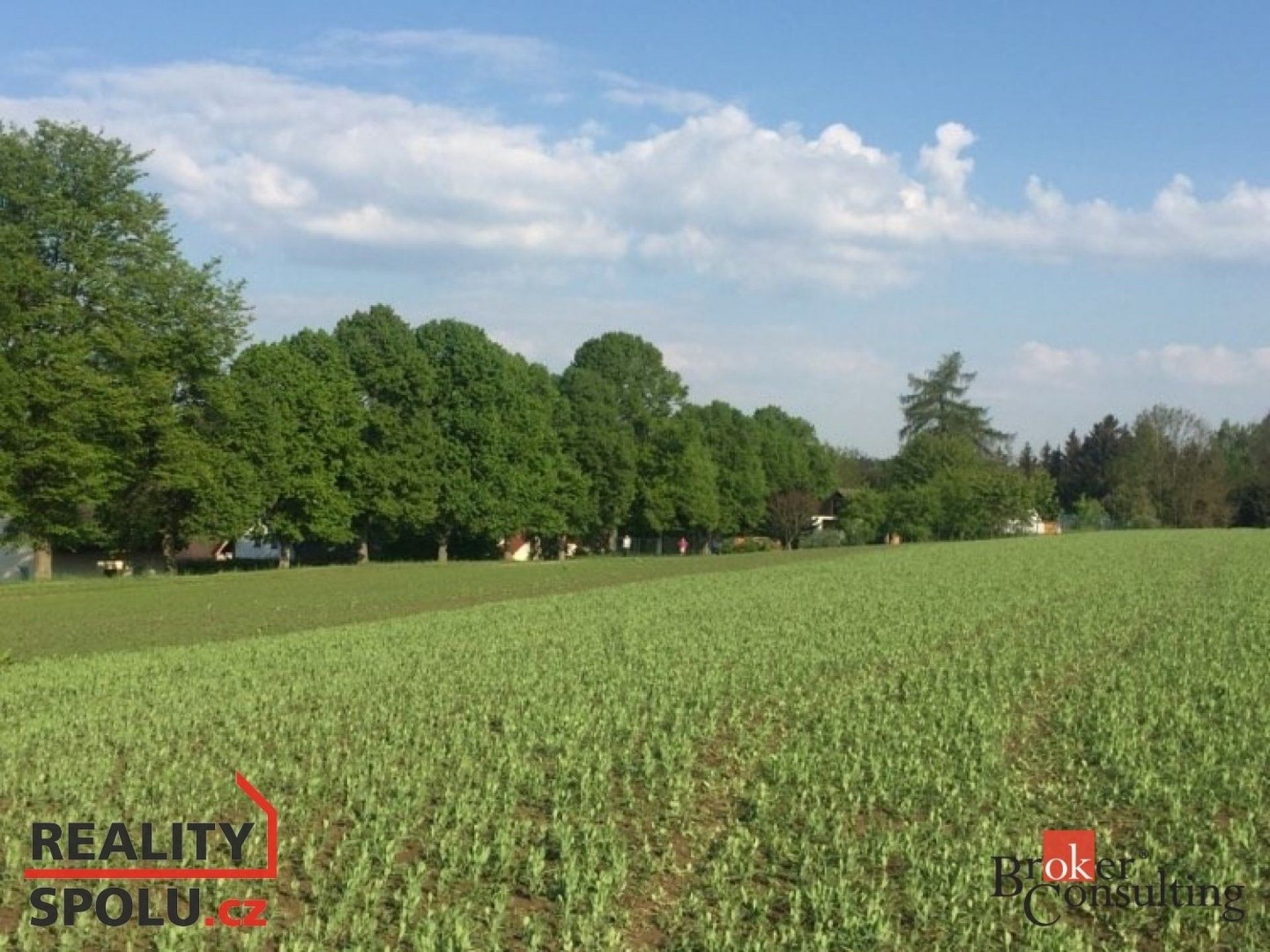 Prodej pozemek pro bydlení - Nové Dvory, 4 121 m²