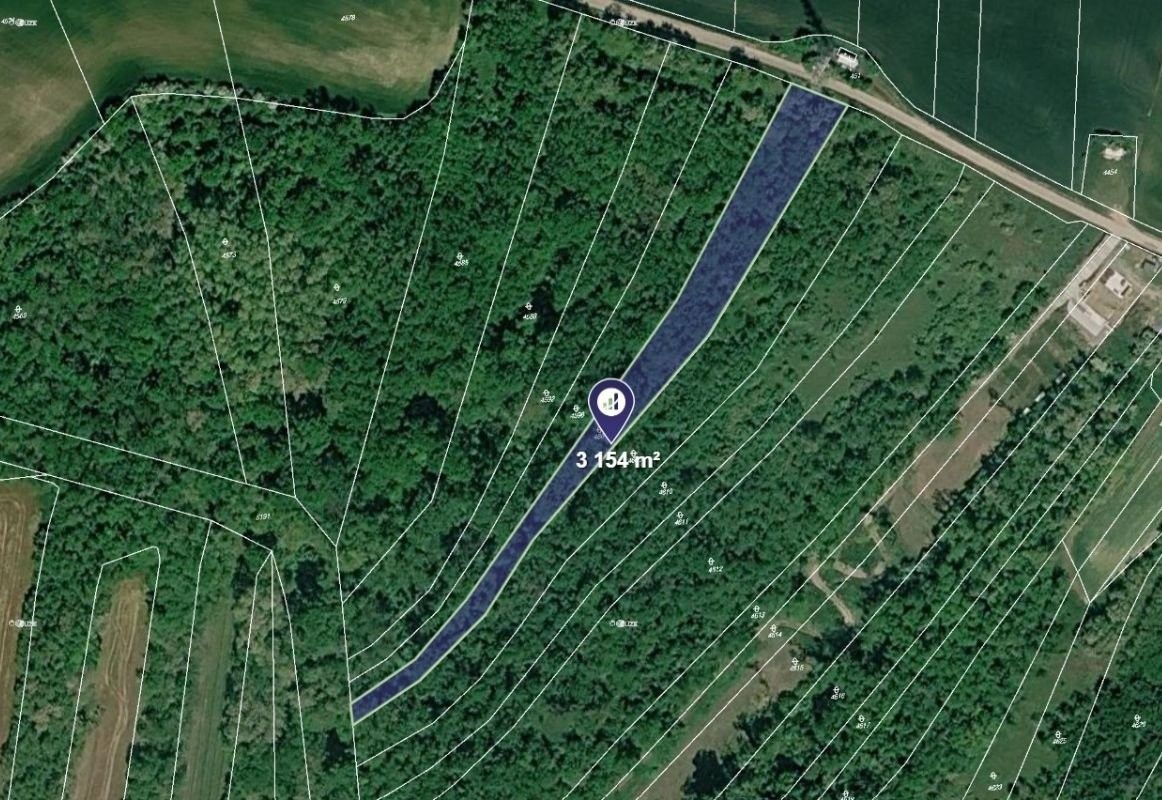 Pozemek, 3 154 m²