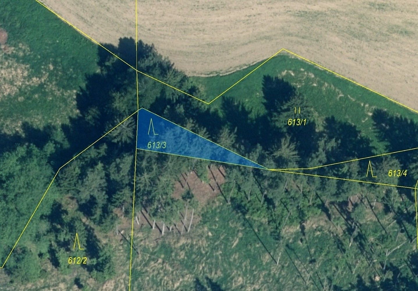 Prodej les - Záboří, okres Strakonice, Jihočeský kraj - 2