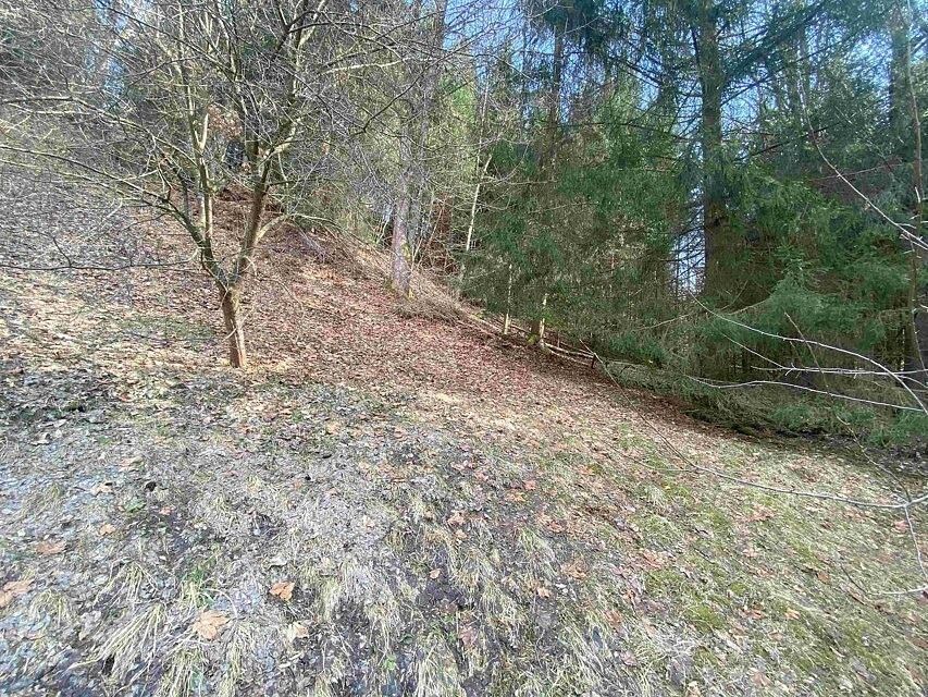 Prodej zahrada - Pěčín, okres Rychnov nad Kněžnou, Královéhradecký kraj - 5