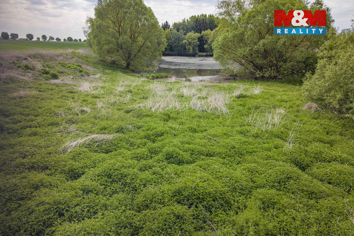 Louka · Vlašim - Domašín, okres Benešov - 4