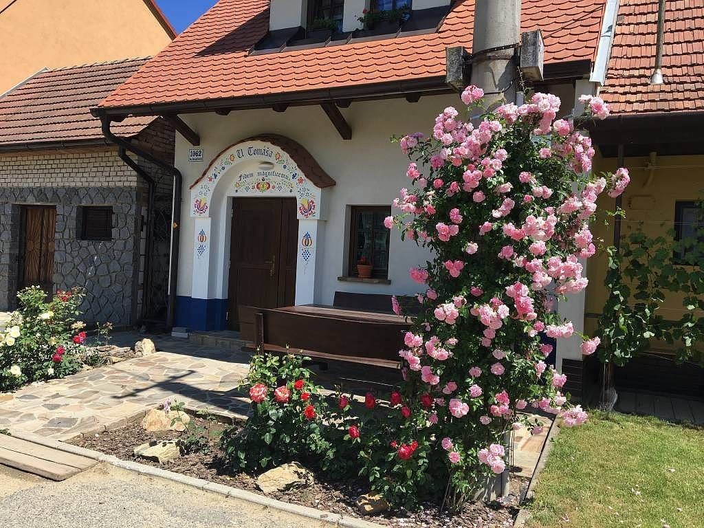 Chaty, Hovorany, Jihomoravský kraj - 1