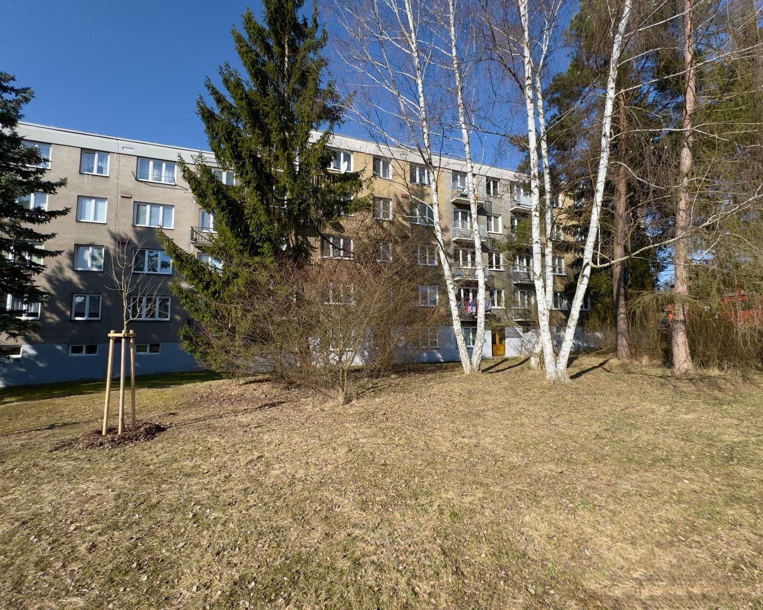 Pronájem byt 2+1 - Bendlova, Česká Lípa, 52 m²