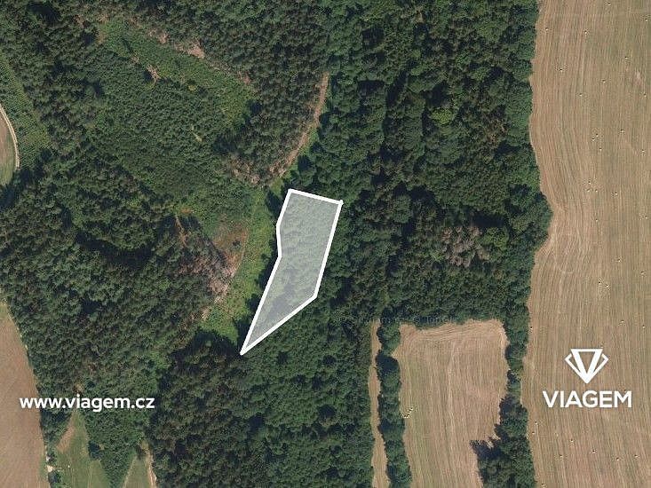 Prodej les - Jesenný, okres Semily, Liberecký kraj - 2