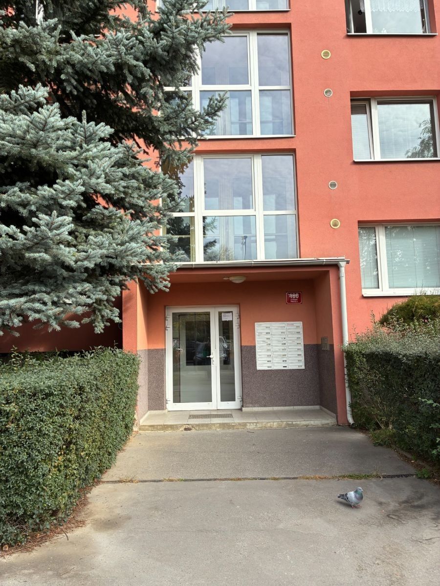 Pronájem byt 1+1 - Tupolevova, Praha - Letňany, 34 m² - 2
