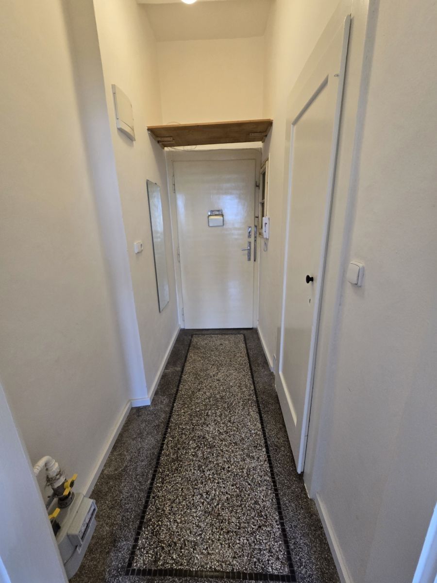 Pronájem byt 1+kk - Petra Rezka, Praha - Nusle, 22 m² - 5