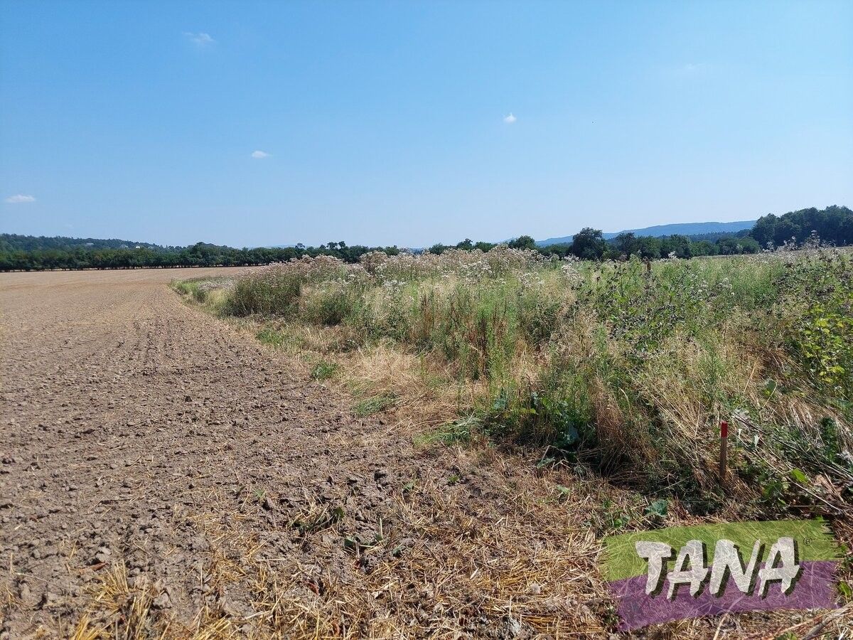 Prodej pozemek pro bydlení - Jenišovice u Jablonce nad Nisou, 468 33 - 2