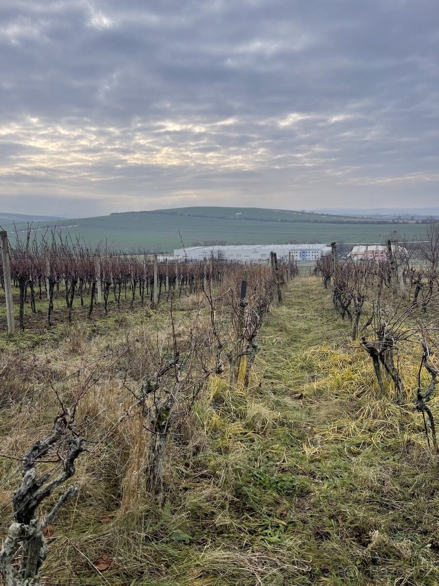 Pozemky pro bydlení, Blatnice pod Svatým Antonínkem, 696 71