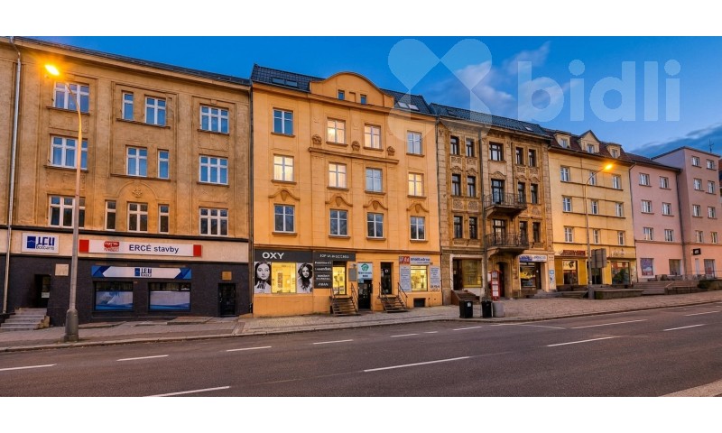 Činžovní domy, Masarykova, Ústí nad Labem Klíše, 632 m² - 2