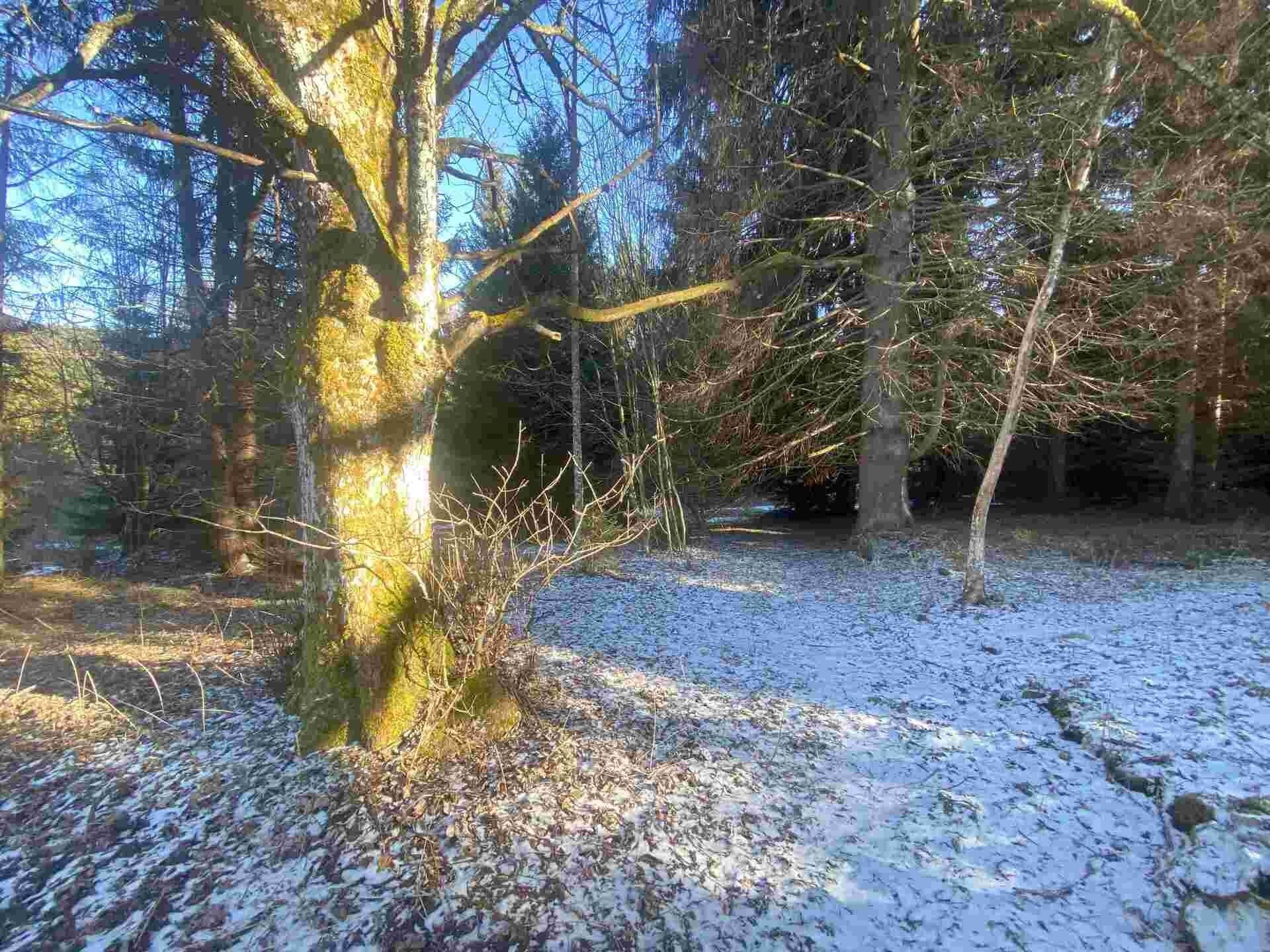 Pozemek, 2 391 m²