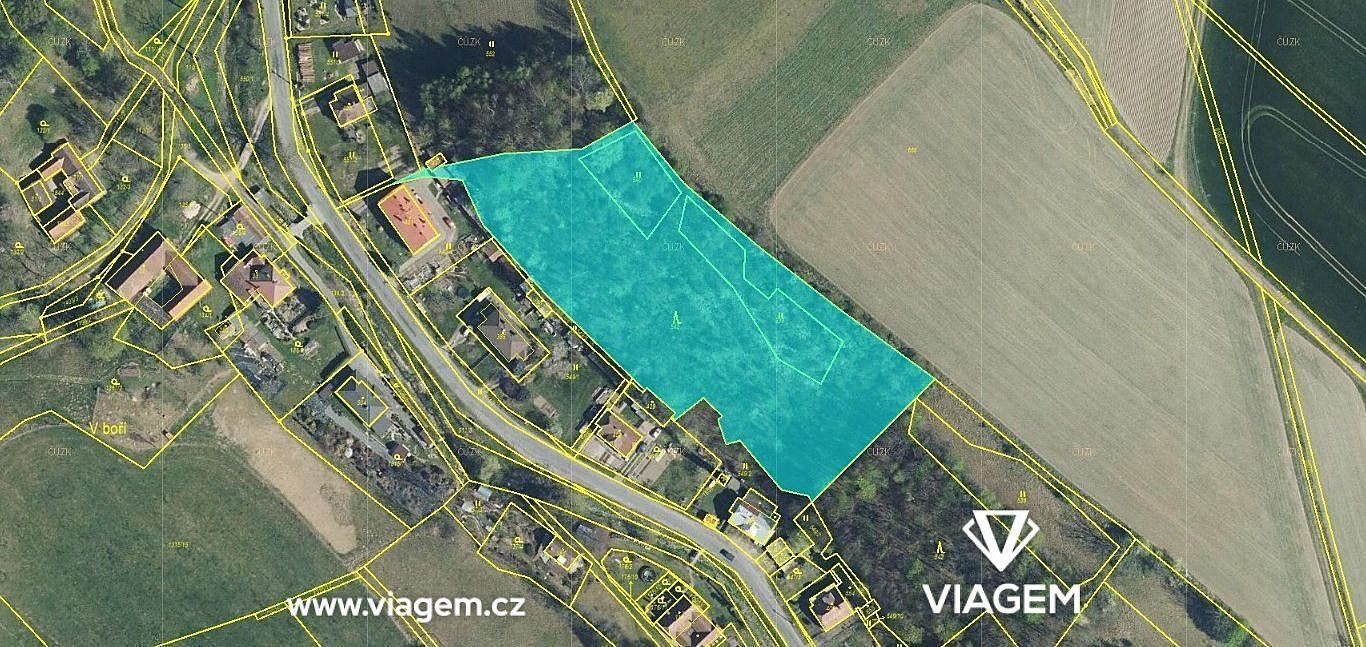 Prodej les - Trstěnice, okres Svitavy, Pardubický kraj - 1