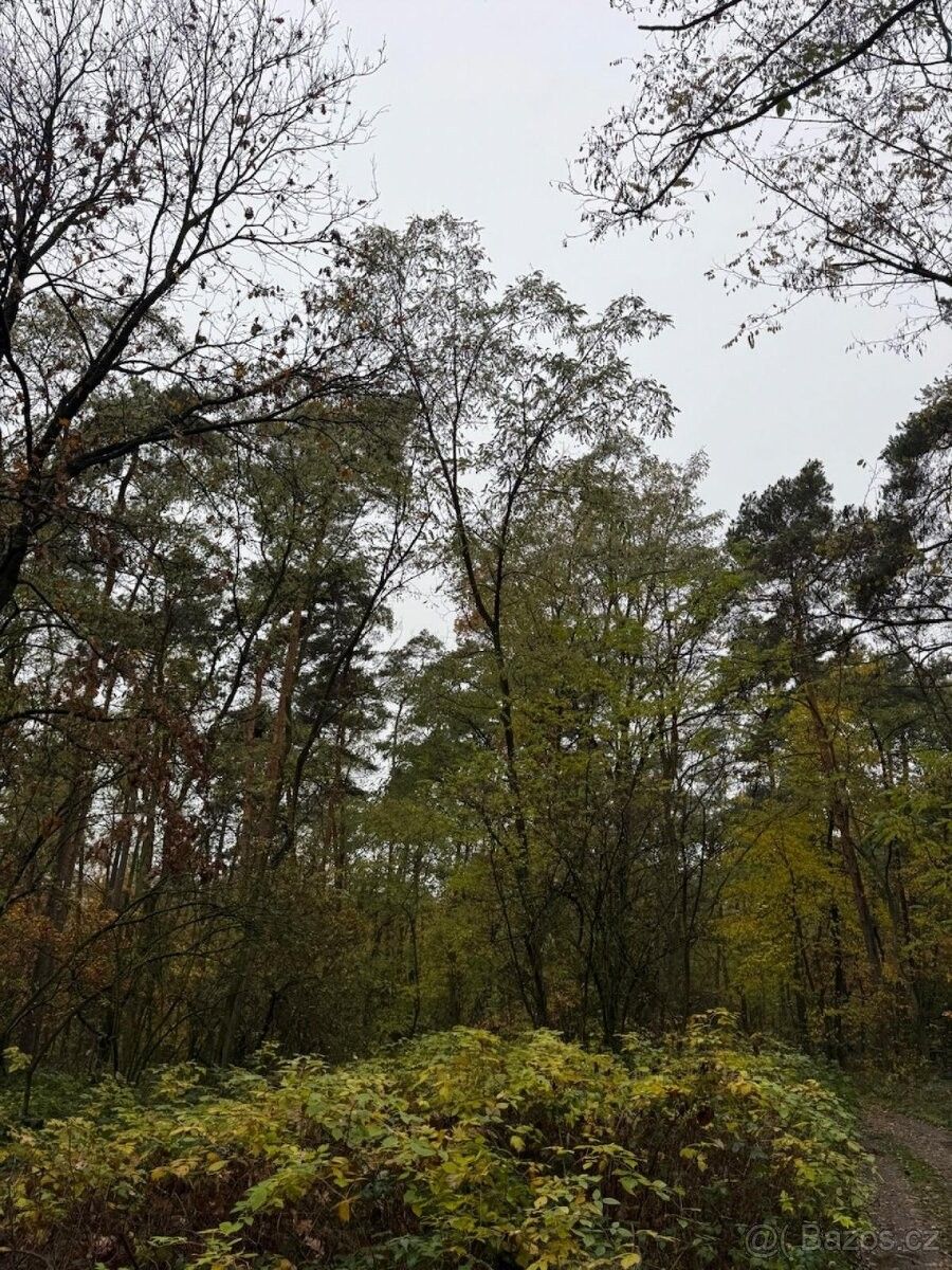 Prodej pozemek pro bydlení - Roudnice nad Labem, 413 01