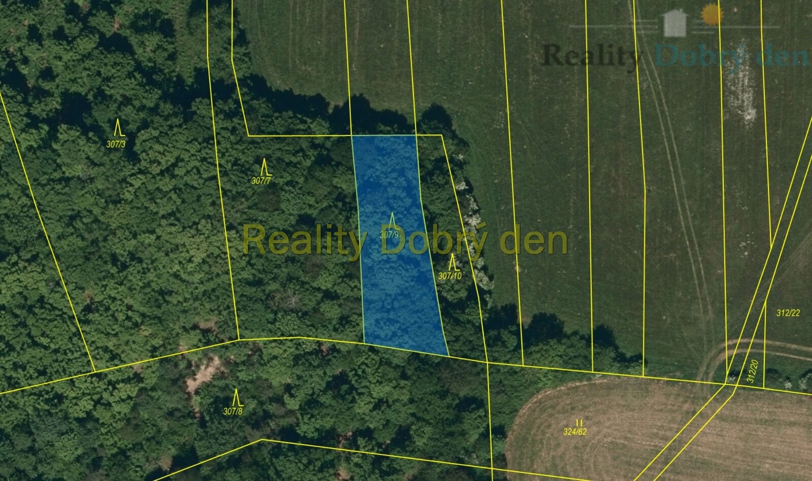 Prodej les - Benkovice, 9 624 m² - 5