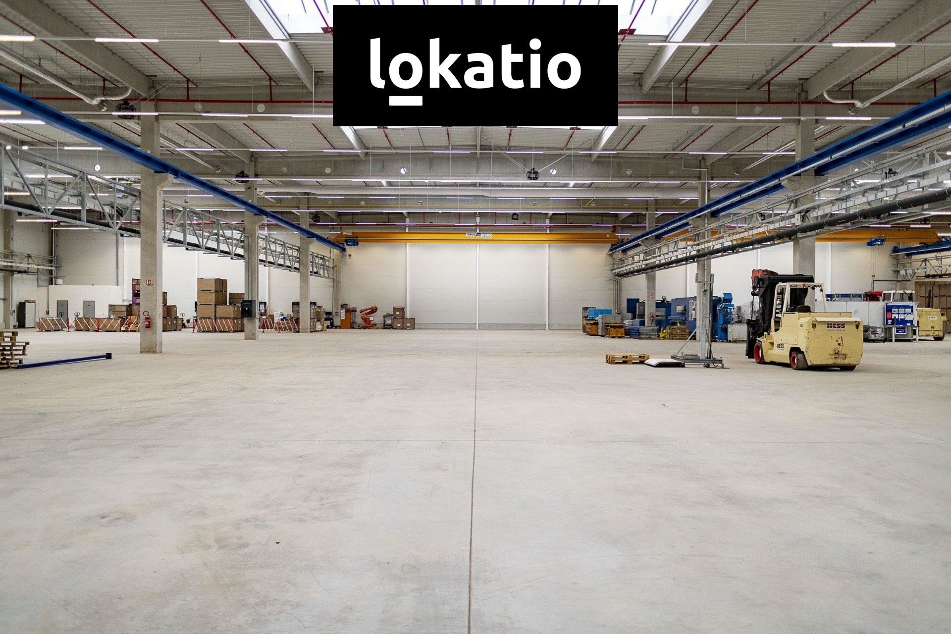 Pronájem sklad - Aš, 18 682 m²