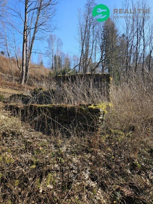 Prodej pozemek pro bydlení - Stará Ves, Vysoké nad Jizerou, 482 m²