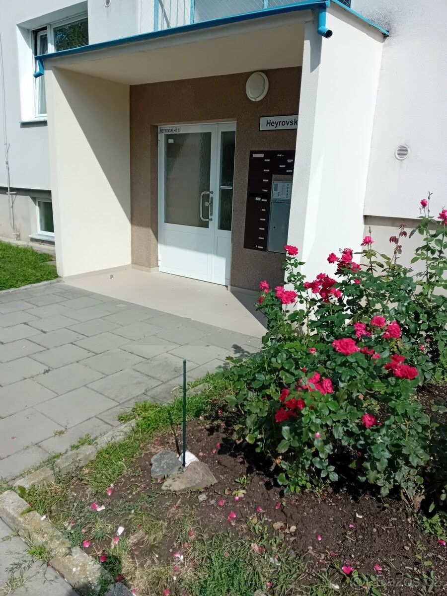Byty, Olomouc, 779 00 - 1