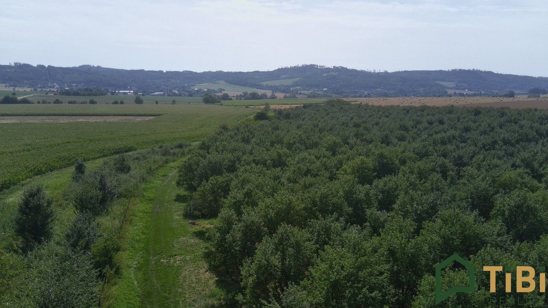 Pozemek · 5 319 m² · Vanovice - 3