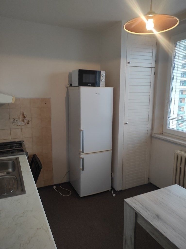 Pronájem byt 1+1 - Božetěchova, Brno, 40 m²