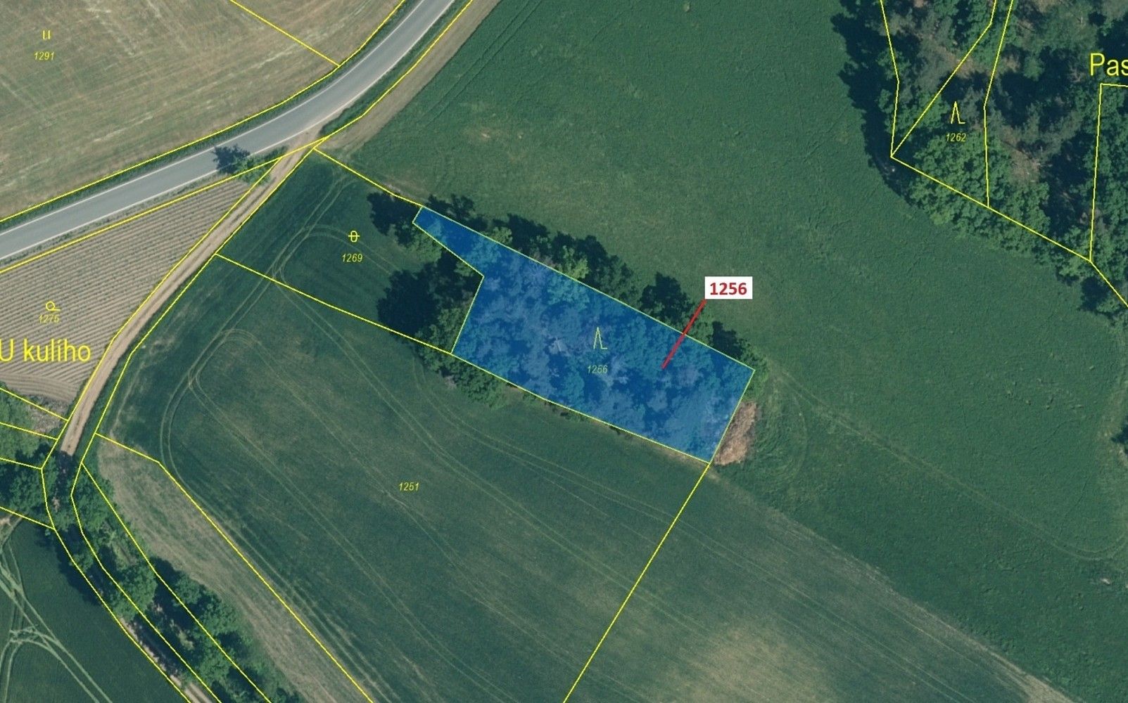 Prodej les - Nezdřev, okres Plzeň-jih, Plzeňský kraj - 2