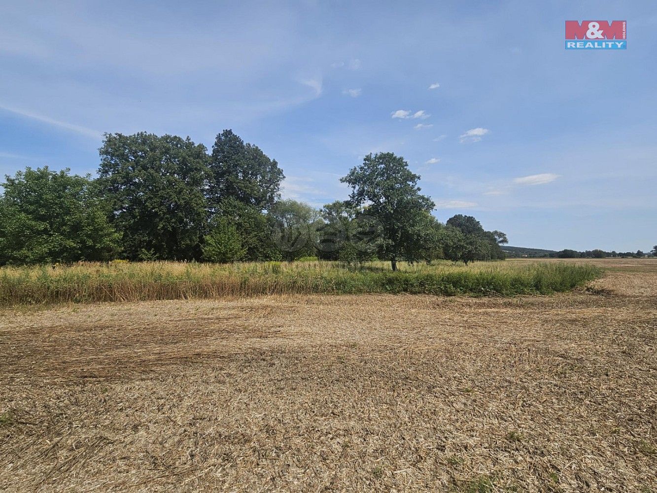 Louky, Krnov - Krásné Loučky, okres Bruntál, Moravskoslezský kraj - 2