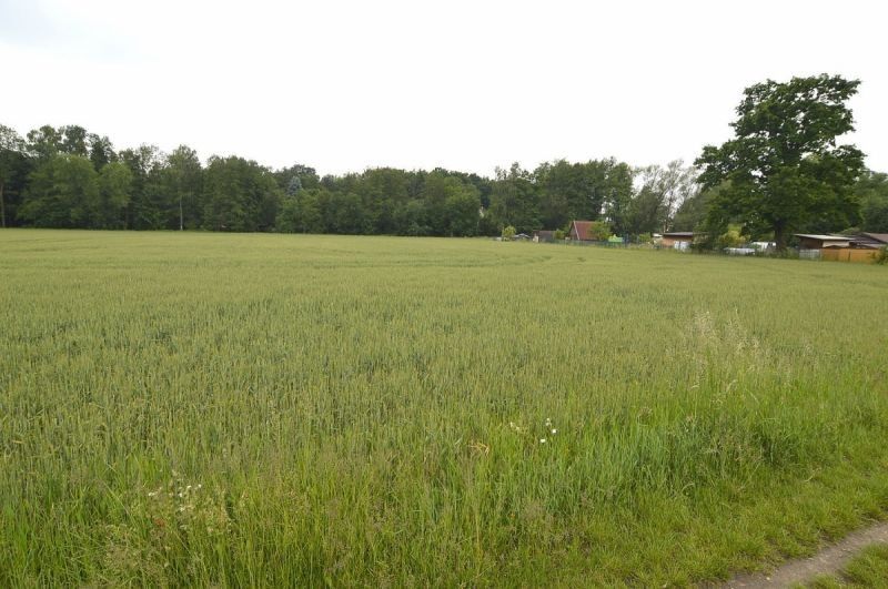 Pozemek · Podboří  , Týniště nad Orlicí - 3