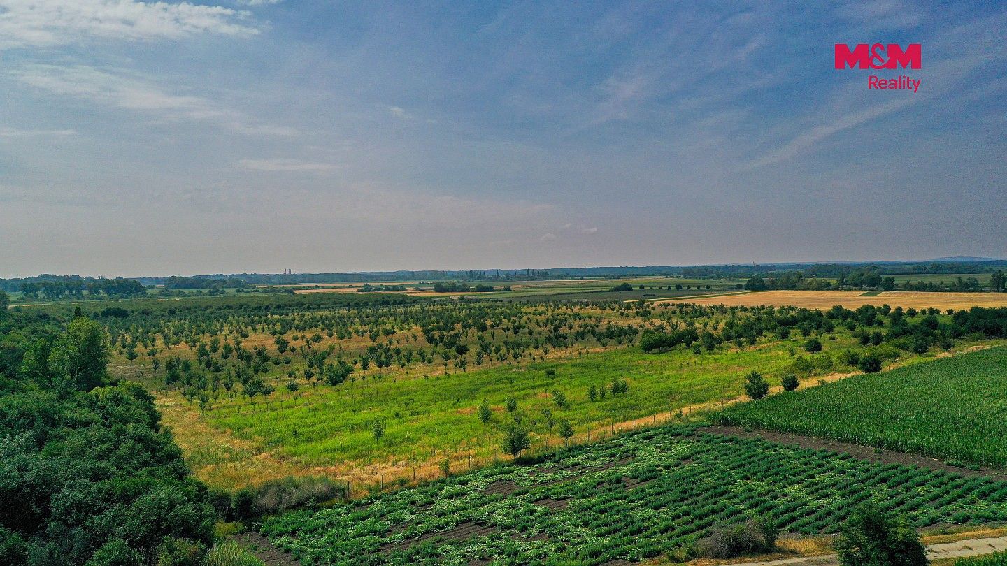 Zemědělský pozemek · Rakvice, okres Břeclav - 3