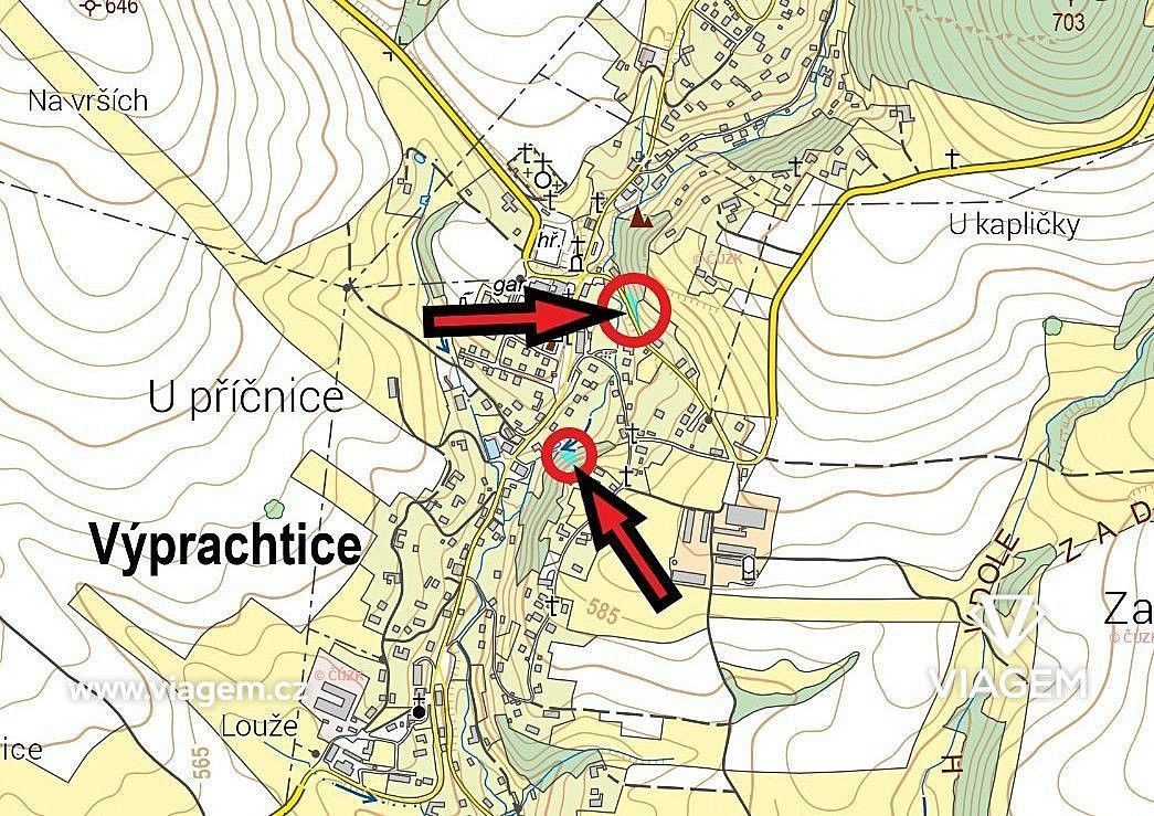 Les · Výprachtice, okres Ústí nad Orlicí - 4