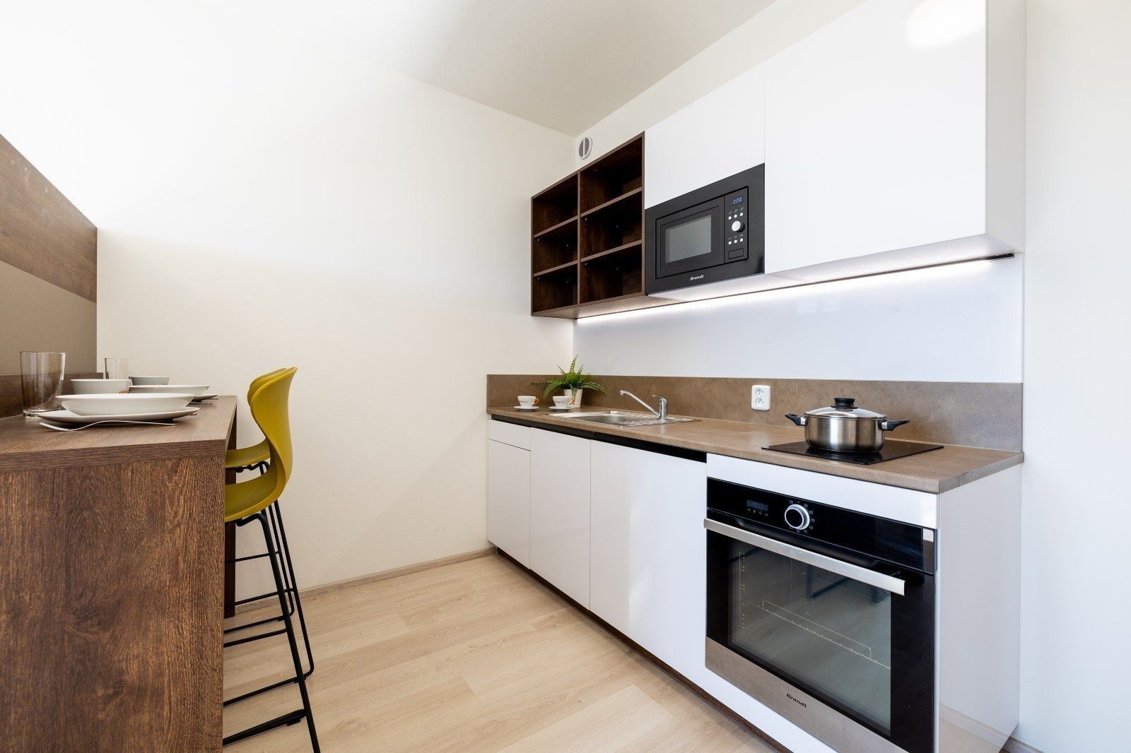 1+kk, Magisterská, Plzeň - Plzeň, Plzeňský kraj, 28 m² - 2