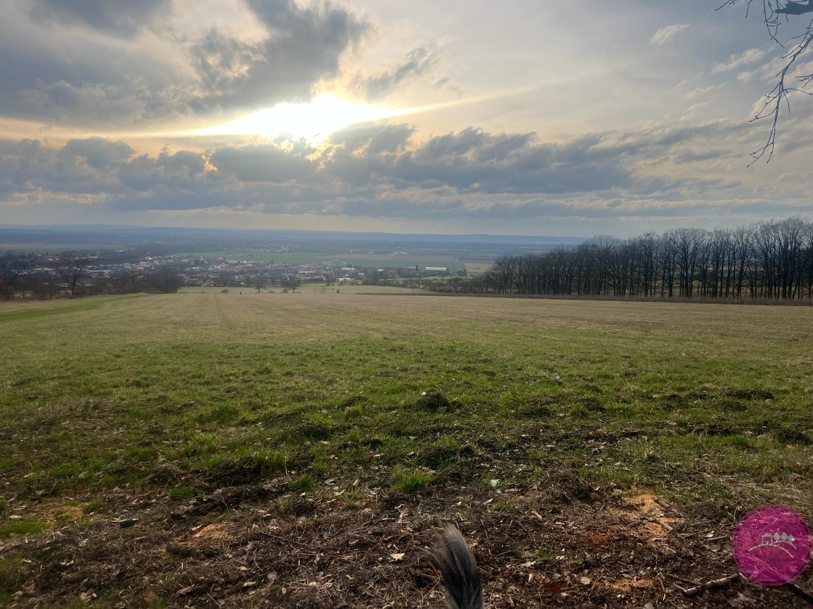 Louka · 27 123 m² · Bělkovice-Lašťany - 4